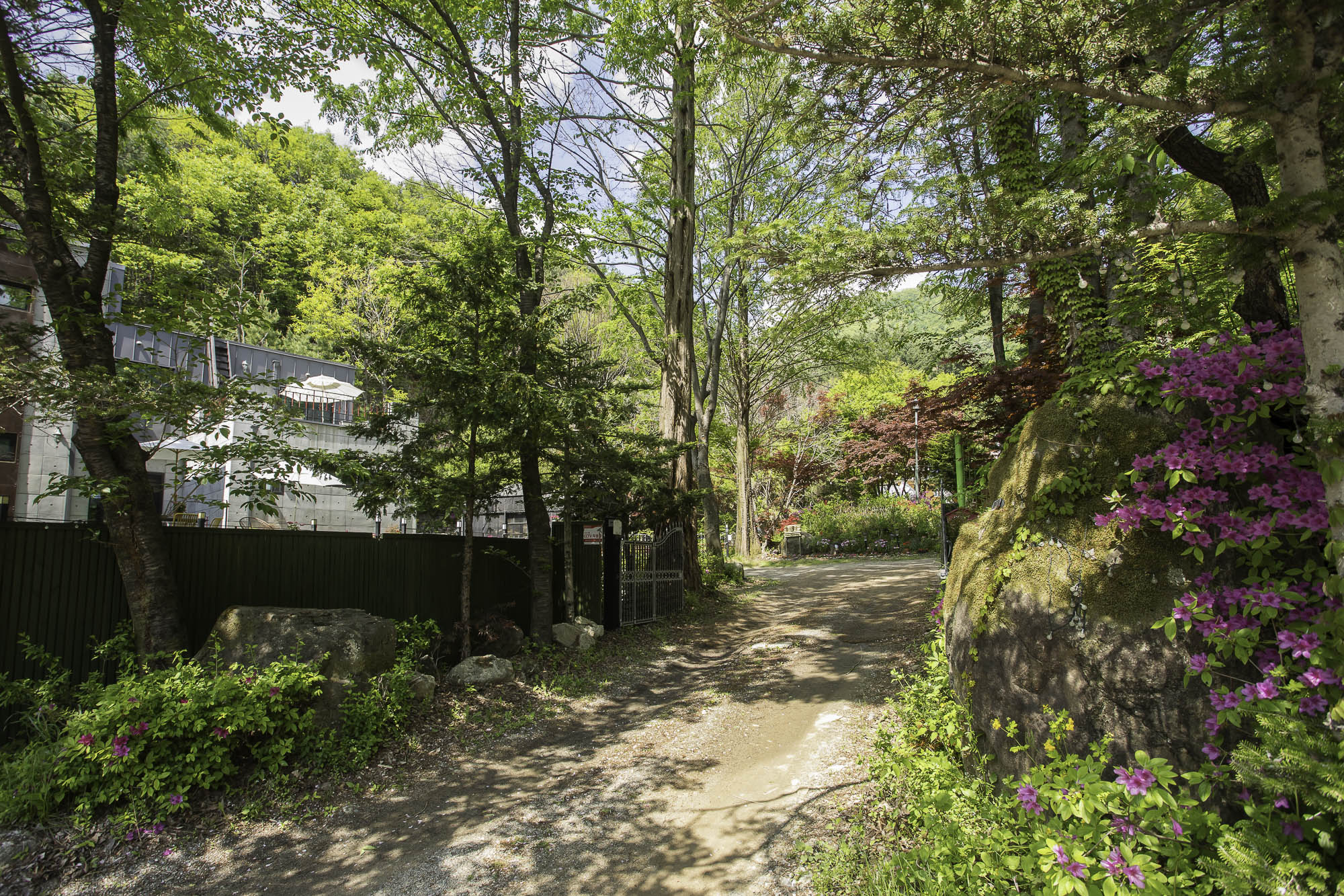 양평 테라펜션 전용 주차 및 외부 공간