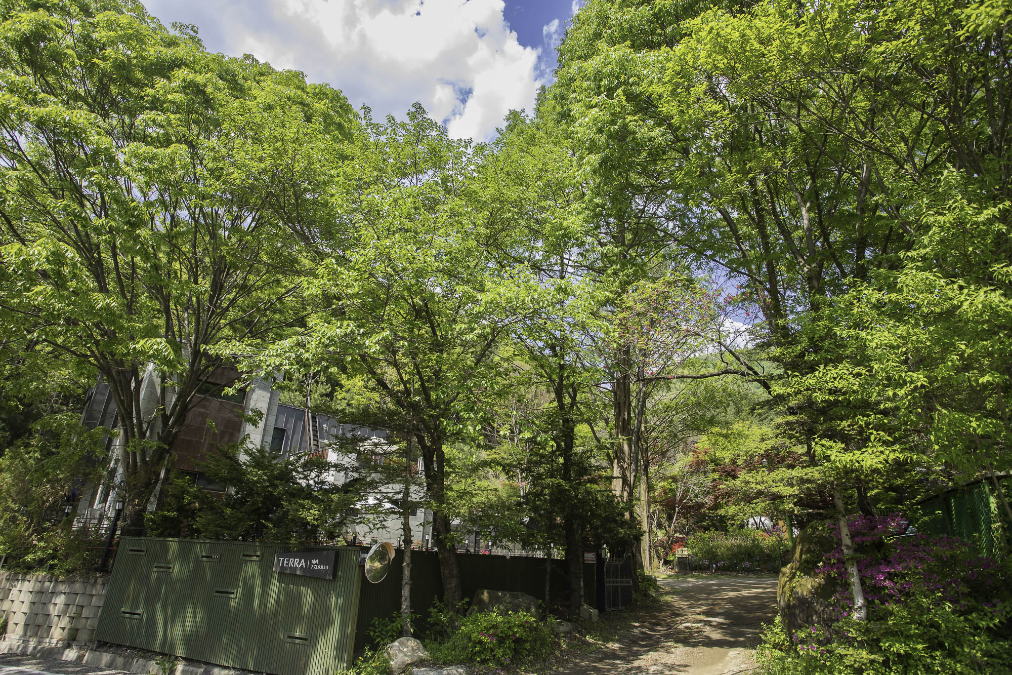 양평 드라이브 코스와 테라펜션 이동 경로