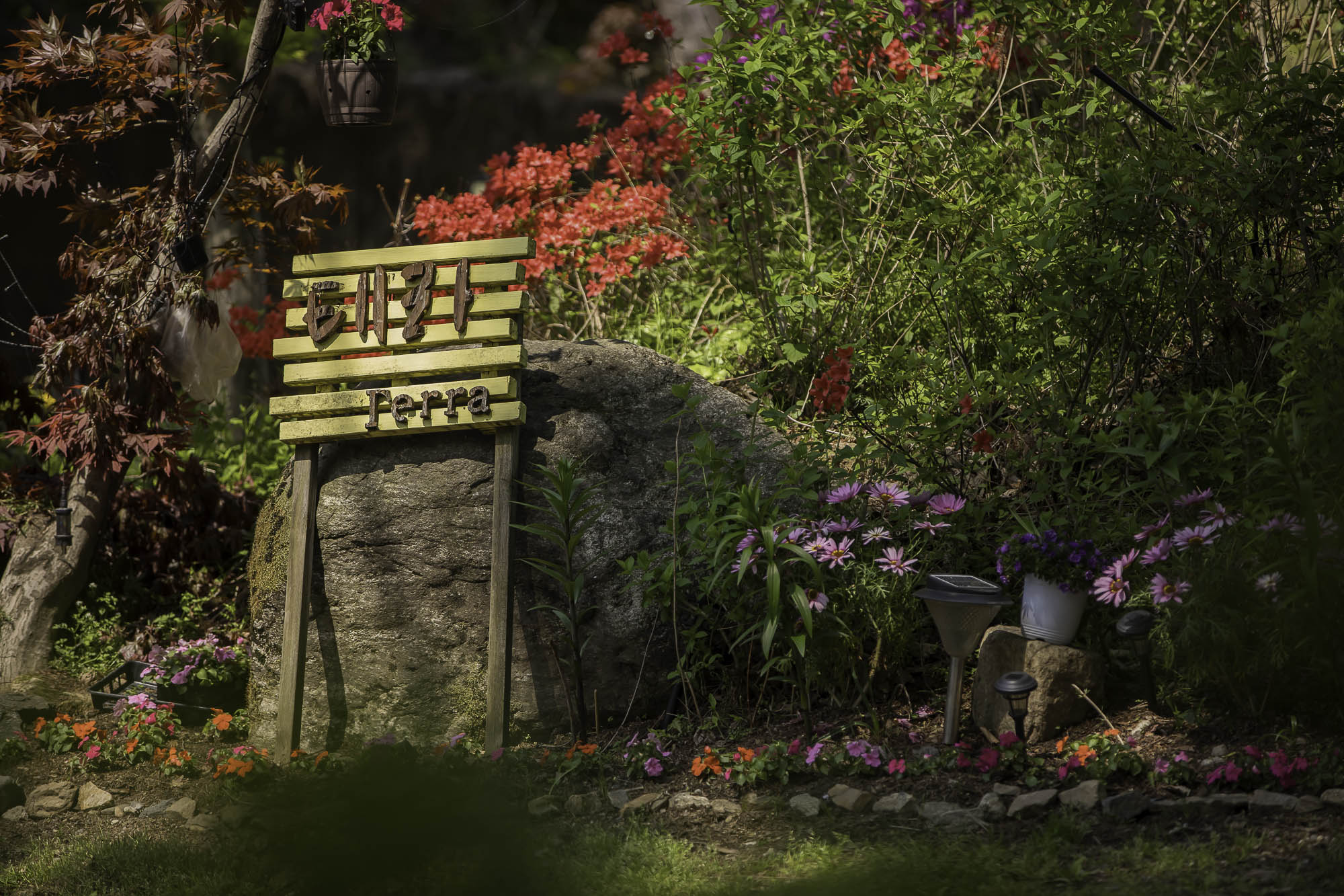 테라펜션 입구 6