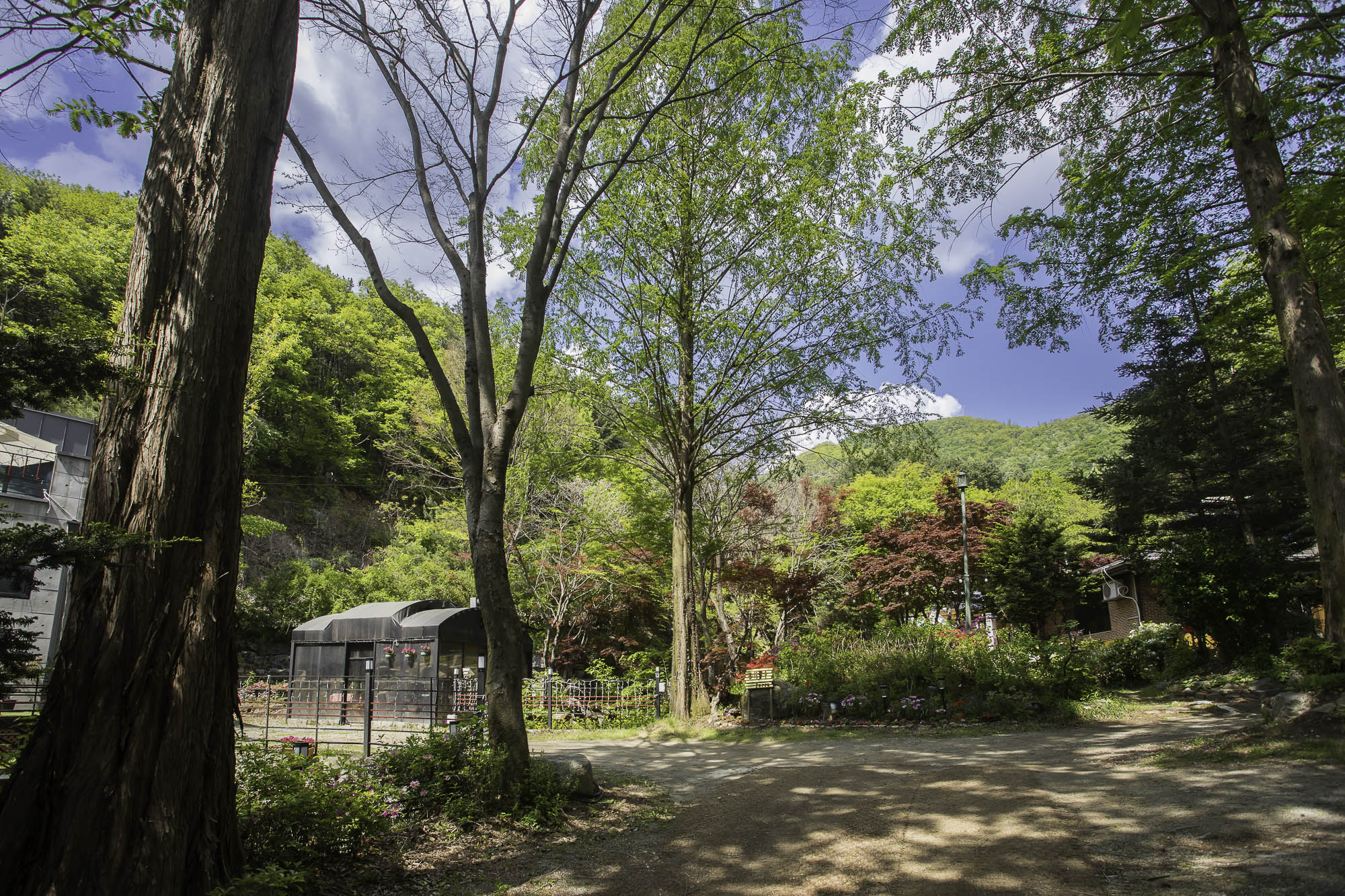 양평 테라펜션 바비큐와 불멍 공간