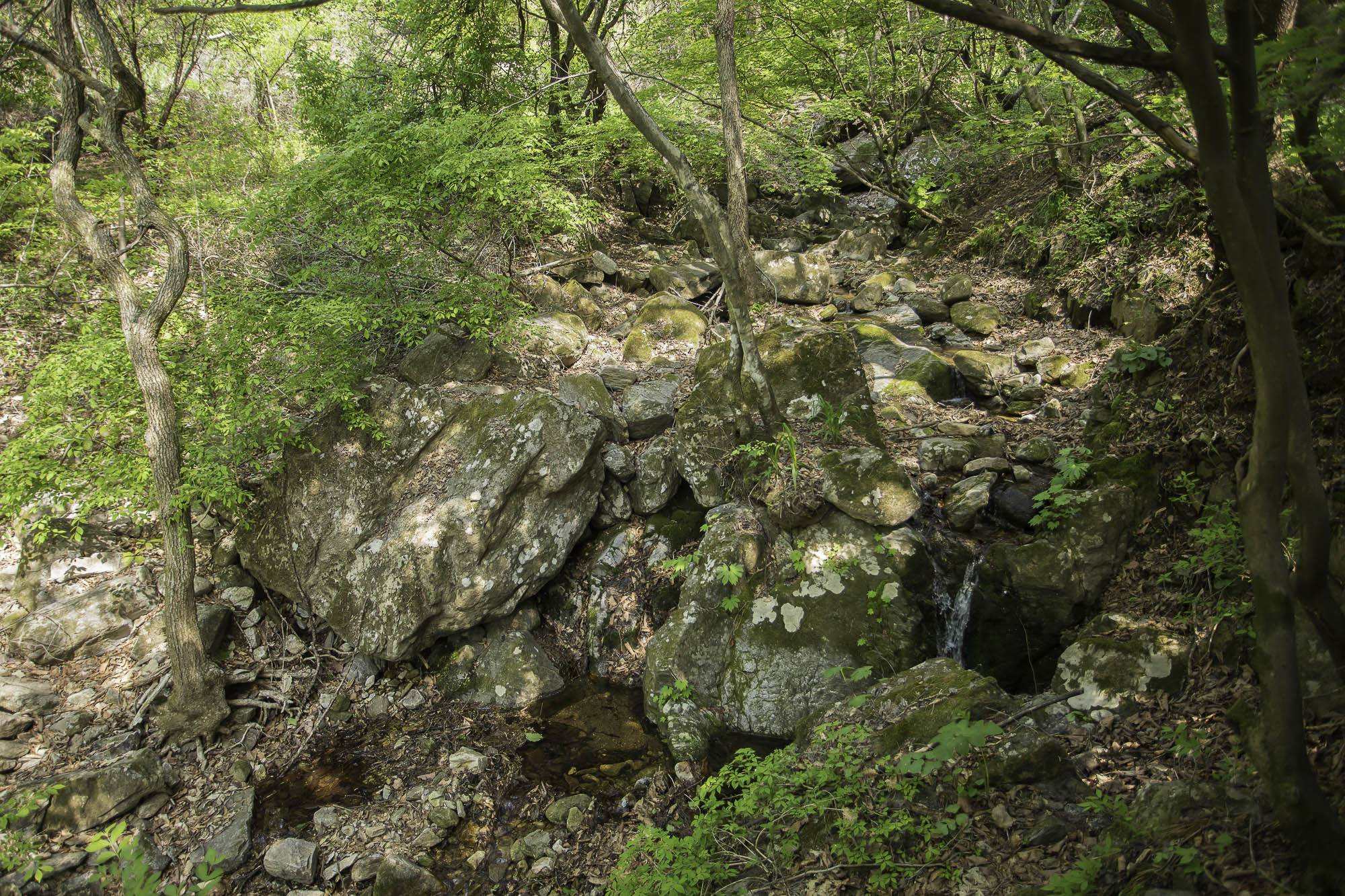 시크릿테라 외부 인테리어 5