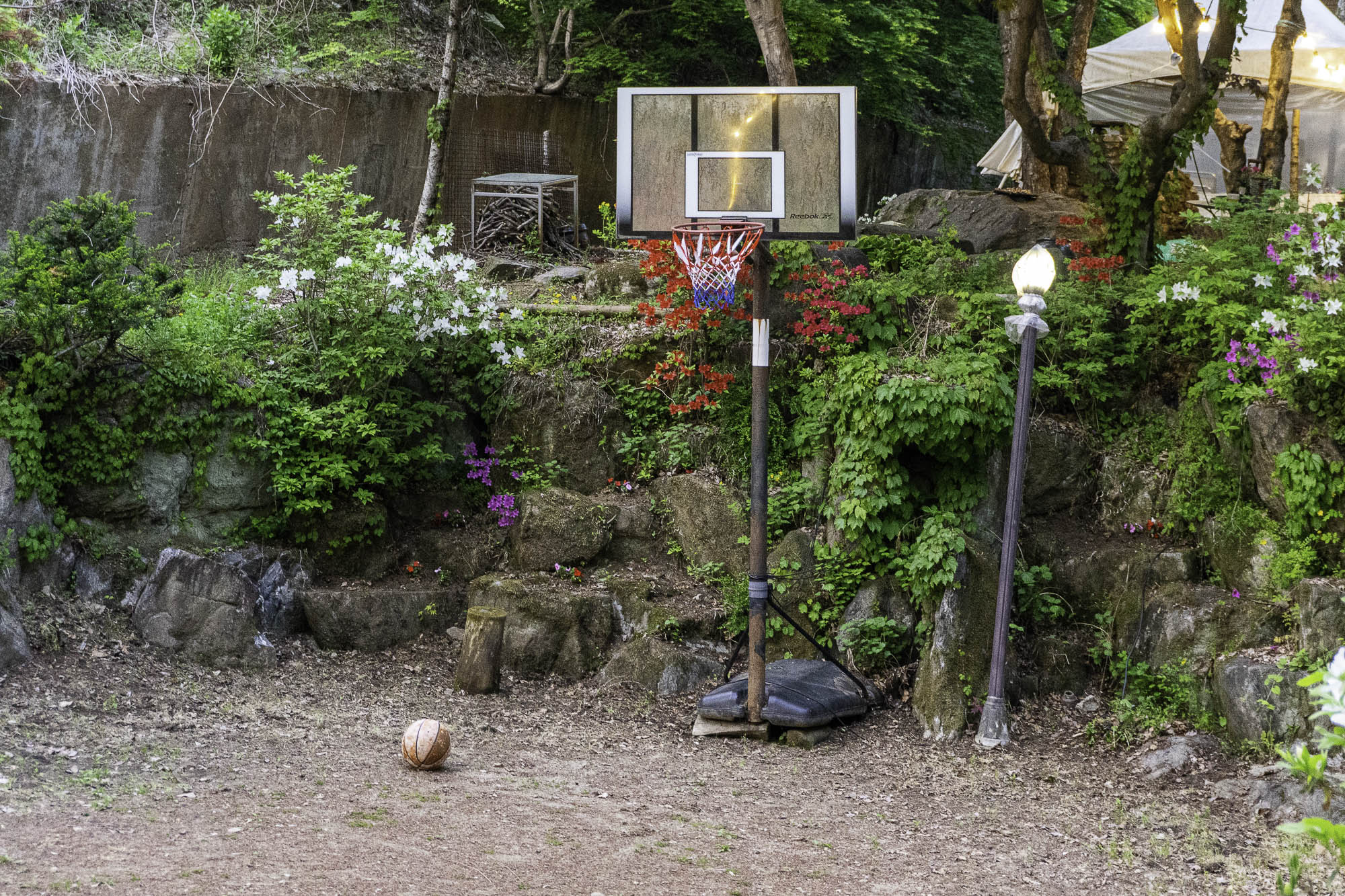 양평 테라펜션 야외 활동과 계곡 풍경