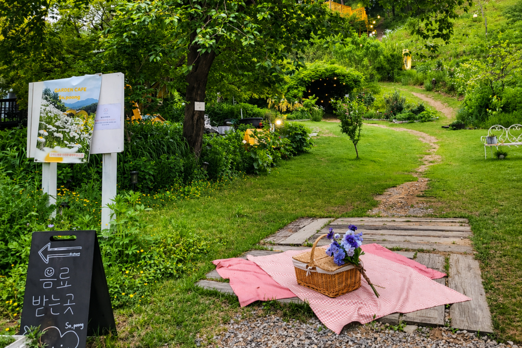 양평 데이트 코스 추천, 드라이브부터 펜션까지 완벽 동선